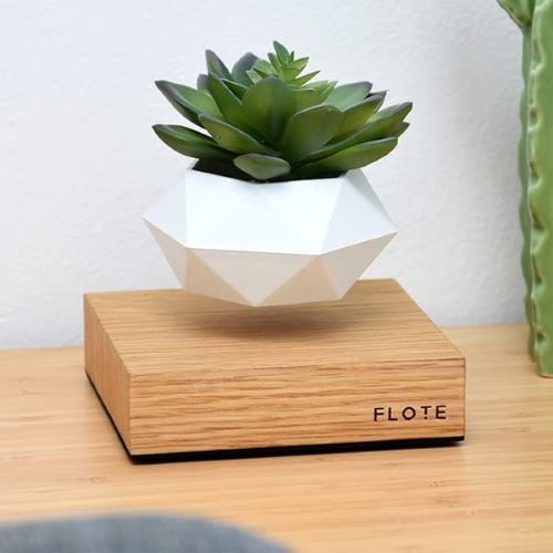 Best Levitating Plant | glowvibes.co.uk