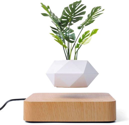 Best Levitating Plant | glowvibes.co.uk